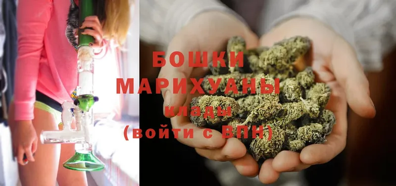 МАРИХУАНА SATIVA & INDICA  хочу наркоту  Пудож 